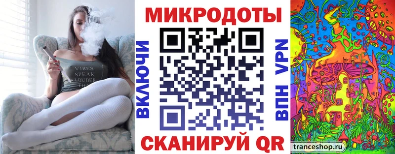 Галлюциногенные грибы Psilocybe  Черняховск 